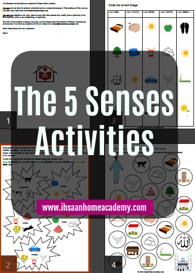 5 Senses Activities pict