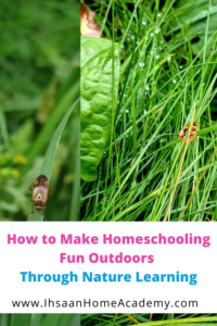 How to Make Homeschooling Fun Outdoors Through Nature Learning