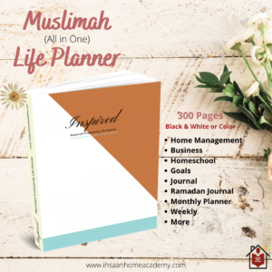 Inspired Muslimah Productivity Life Planner Post 3D Image